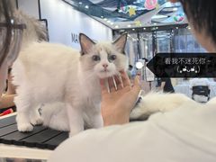 -万达广场(大明宫店)