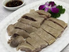 -鹅城
