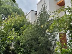 -古北水镇乌镇会精品酒店