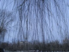 -莲湖公园
