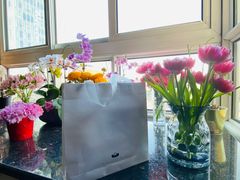 -BLACKSWAN黑天鹅(环球店)