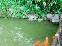 -珠海圆明新园