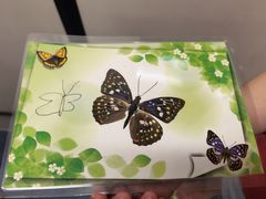 -上海昆虫博物馆