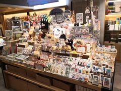 零售区-猫的天空之城概念书店(苏州诚品店)