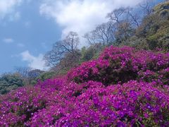 -广州市石门国家森林公园