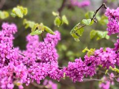 -天台山赤城山景区