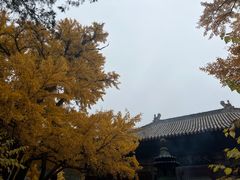 -红螺寺