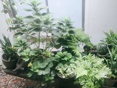-花迹(富春江东街店)