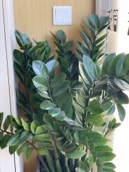 -THE LOG SALON 记录