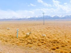 -青海湖国家重点风景名胜区