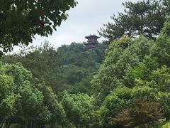 -梦姑塘文化公园