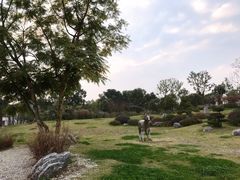 -两河城市森林公园