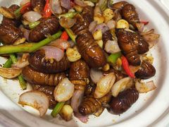 -中国吉菜名店广源宾馆餐厅