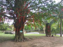 -红色娘子军纪念园