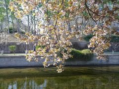 -海棠花溪(元大都城垣遗址公园)