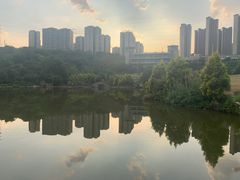 -张坝桂圆林公园