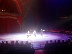 -珠海横琴长隆《卡卡虎奇遇记》