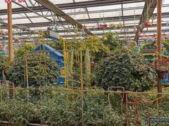 -南宫五洲植物乐园