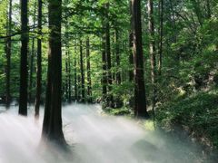 -国家植物园南园