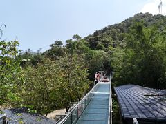 -南丹山森林王国