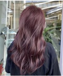 -菲·木田moontin造型salon