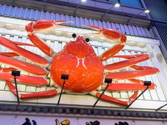 -蟹道乐(道顿堀本店)