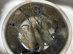 -DGE季风钓虾营地·团建·聚会
