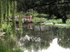 -长白岛森林公园