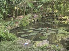 -中国科学院西双版纳热带植物园