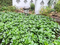 -深圳国际园林花卉博览园