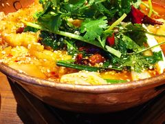 -云海肴·汽锅鸡·云南菜(天津国金汇店)