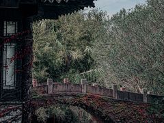 -韩湘水博园