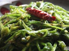 202-苍洱春饭店