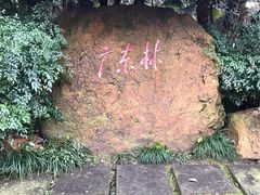 -邓小平故里