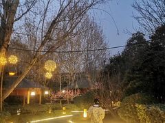 -思念果岭悦温泉