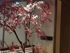 -揽季锅物会.福建黄鱼.海鲜姿造(五四路店)