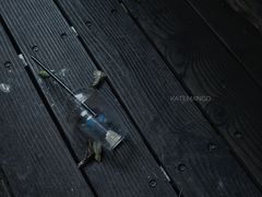 -VESH COFFEE(定西路店)