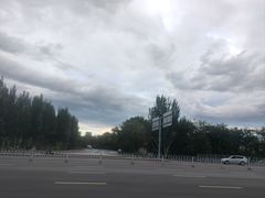 -长白岛森林公园