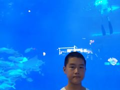 -烟台海昌鲸鲨海洋公园