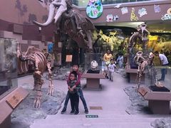 -陕西自然博物馆