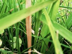 -南昌之星游乐场