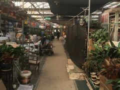 -秦美花卉(天朗·莱茵小城2期店)