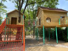 -南宫五洲植物乐园