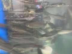 -宋记冕宁土菜馆(海门渔村二店)