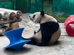 -杭州野生动物世界