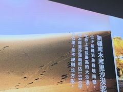 -西域胡氏大盘鸡(谈固店)