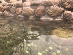 -营口金泰珑悦海景大酒店