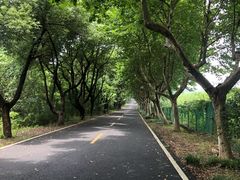 -宜兴龙背山森林公园