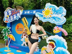-美的鹭湖森林度假区