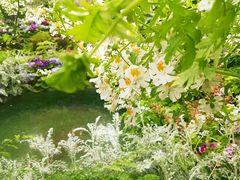 -斐兹洛伊花园